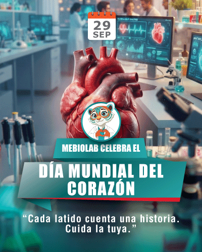 29 sept
